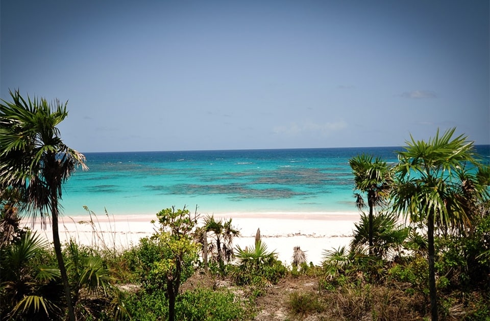 Harbour Island, Bahamas Beach with palm trees| Uk Abroad | British Passport Renewal