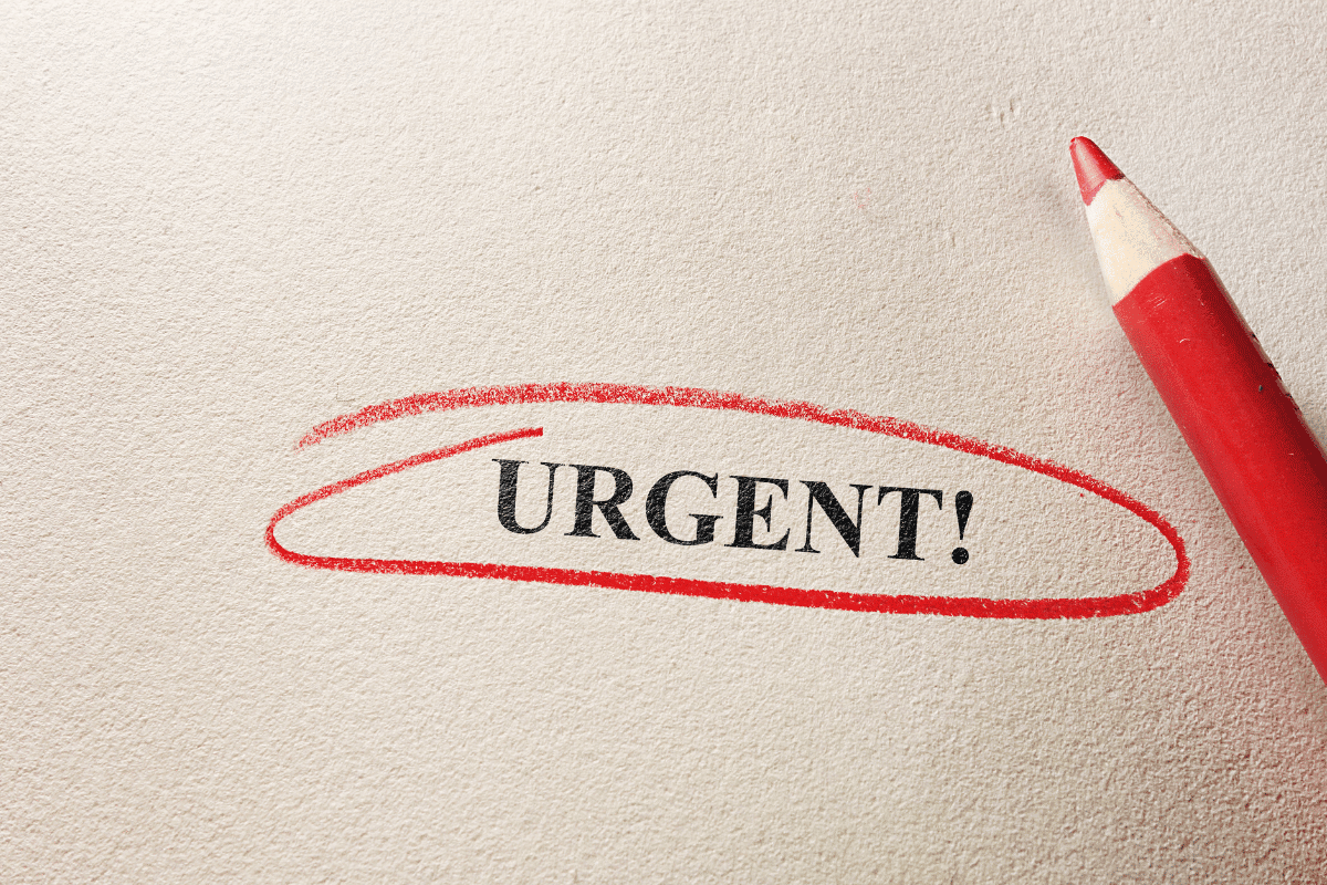 Urgent Passport Renewal UK Your Guide urgent-passport-renewal-uk-your-guide